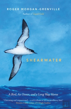 Bertrand.pt - Shearwater