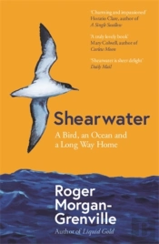 Shearwater