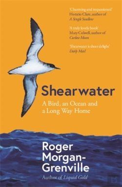 Bertrand.pt - Shearwater