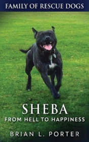 Sheba - From Hell To Happiness