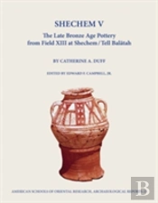Shechem V
