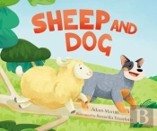 Sheep And Dog
