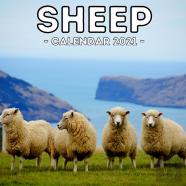 Sheep Calendar 2021