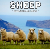 Sheep Calendar 2021