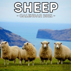 Bertrand.pt - Sheep Calendar 2021
