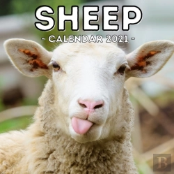 Bertrand.pt - Sheep Calendar 2021