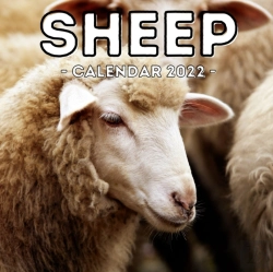 Bertrand.pt - Sheep Calendar 2022
