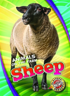 Sheep
