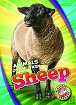 Bertrand.pt - Sheep