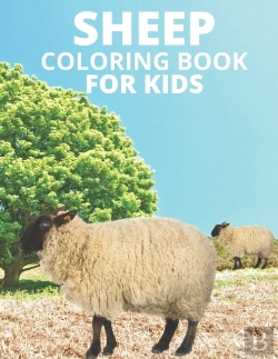 Bertrand.pt - Sheep Coloring Book For Kids