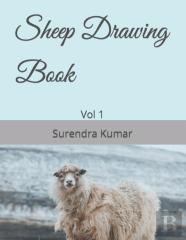 Sheep Drawing Book
