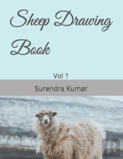 Sheep Drawing Book