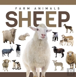 Bertrand.pt - Sheep