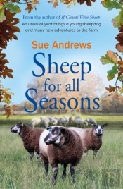 Sheep For All Seasons