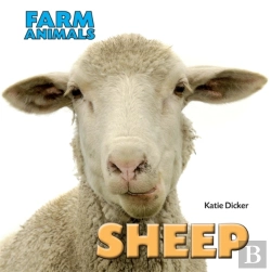 Bertrand.pt - Sheep