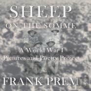 Sheep On The Somme