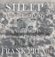 Sheep On The Somme