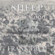 Sheep On The Somme