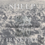Sheep On The Somme
