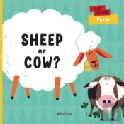 Sheep Or Cow?