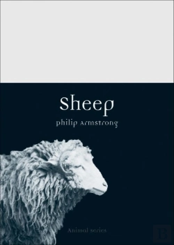 Bertrand.pt - Sheep