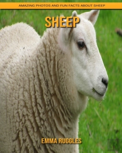Bertrand.pt - Sheep