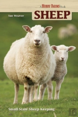 Bertrand.pt - Sheep