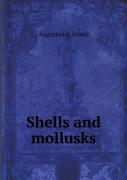 Shells And Mollusks