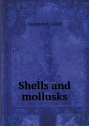 Shells And Mollusks