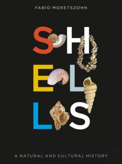 Bertrand.pt - Shells