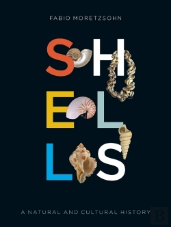 Bertrand.pt - Shells
