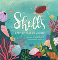 Shells