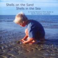 Shells On The Sand, Shells In The Sea
