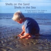 Shells On The Sand, Shells In The Sea
