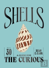 Shells