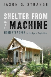 Shelter From The Machine