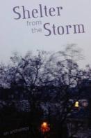 Shelter From The Storm