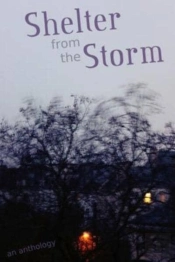 Shelter From The Storm