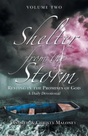 Shelter From The Storm