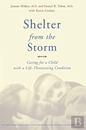 Shelter From The Storm