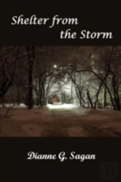 Shelter From The Storm