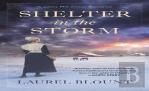 Shelter In The Storm