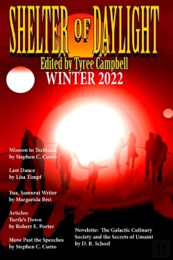 Bertrand.pt - Shelter Of Daylight Winter 2022