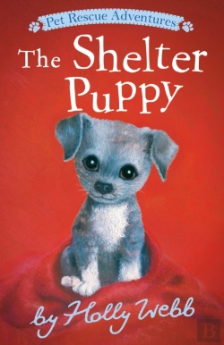 Bertrand.pt - Shelter Puppy