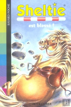 Bertrand.pt - Sheltie Est Blessé