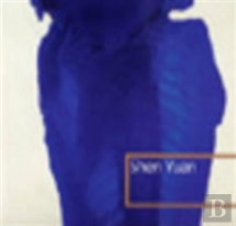 Shen Yuan