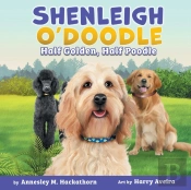 Shenleigh O'Doodle, Half Golden, Half Poodle