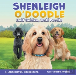 Bertrand.pt - Shenleigh O'Doodle, Half Golden, Half Poodle