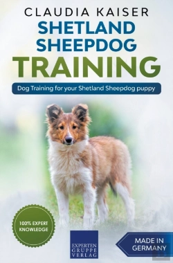 Bertrand.pt - Shetland Sheepdog Training - Dog Trainin