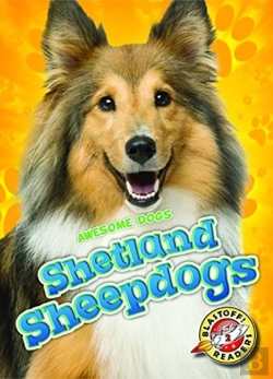 Bertrand.pt - Shetland Sheepdogs